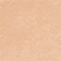 Skin Foundation Stick