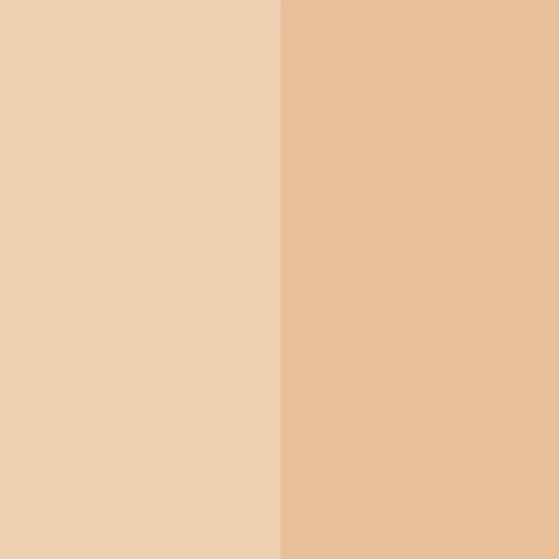 Nude Finish Illuminating Pressed Setting Powder