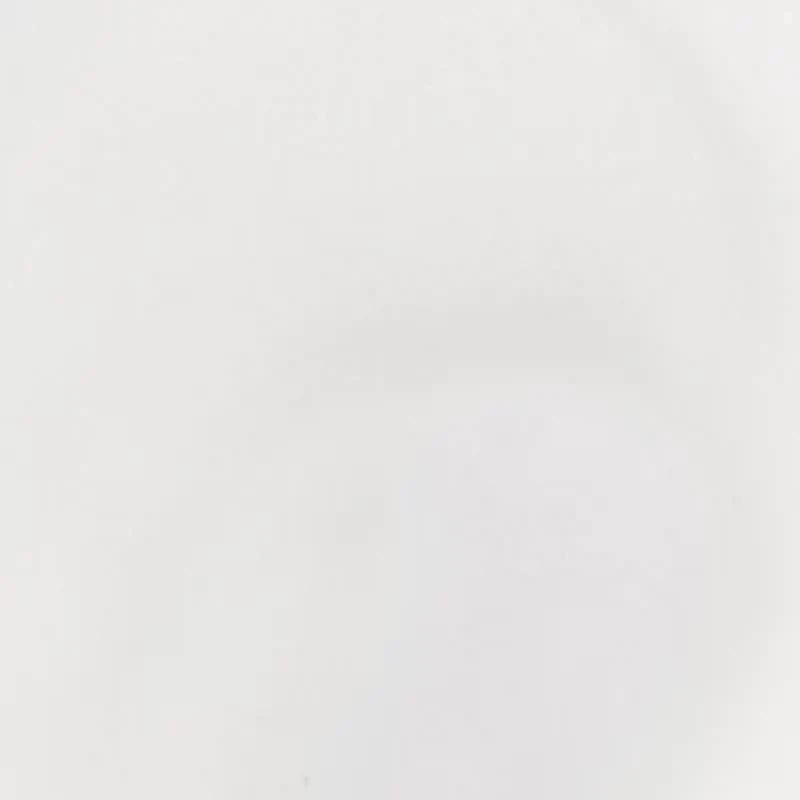 Primer Plus Sun Protection SPF 50 
