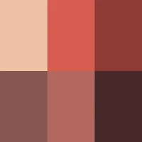 Golden Illusion Eye Shadow Palette