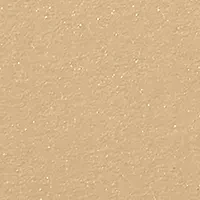 Skin Weightless Powder Foundation