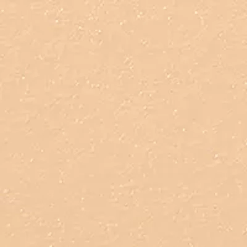 Skin Weightless Powder Foundation