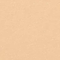 Skin Weightless Powder Foundation