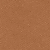 Sheer Finish Pressed Powder