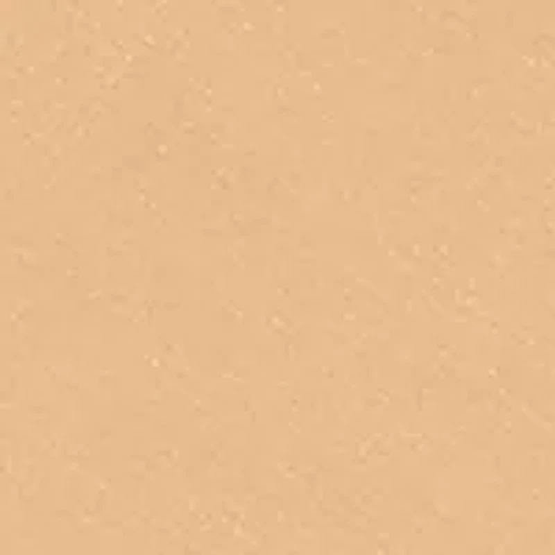 Sheer Finish Pressed Powder