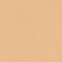 Sheer Finish Pressed Powder