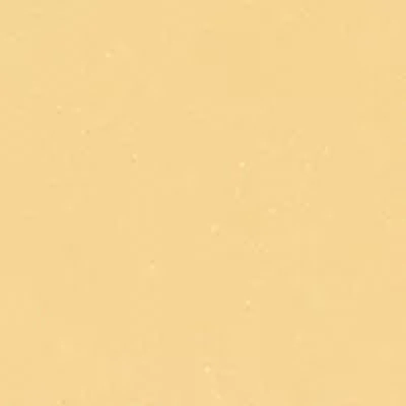 Sheer Finish Pressed Powder