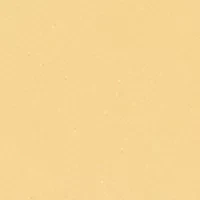 Sheer Finish Pressed Powder