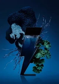  Bad Boy Cobalt Eau de Parfum 