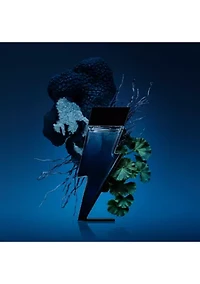 Bad Boy Cobalt Eau de Parfum 3-Piece Gift Set - $221 Value!