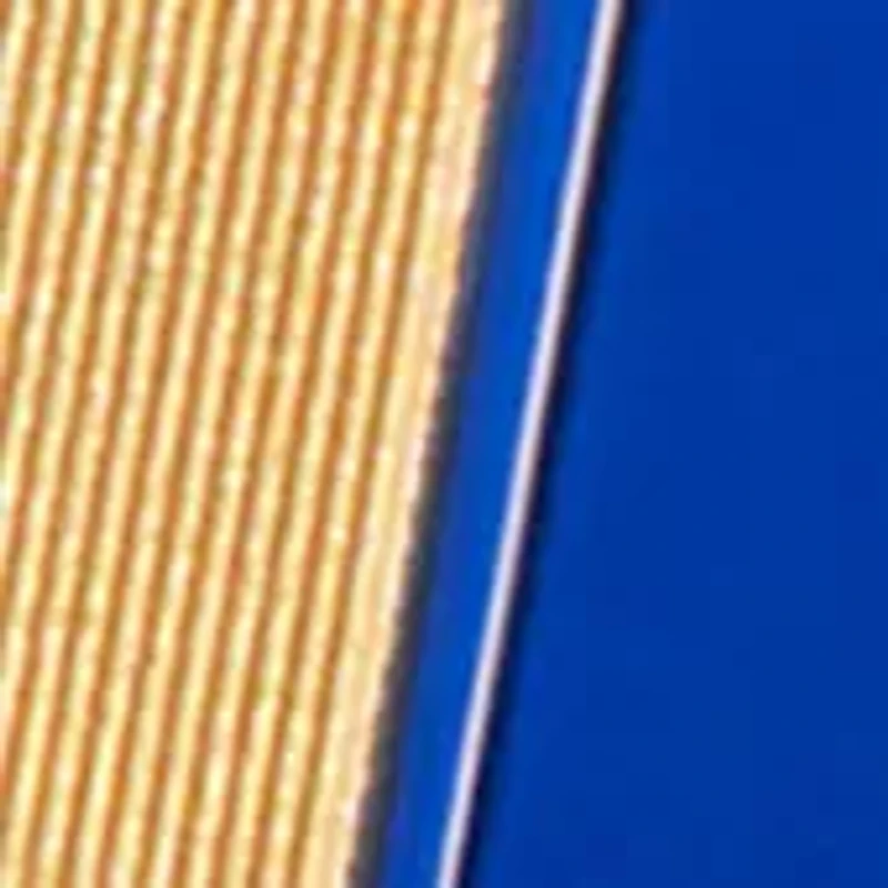 Bad Boy Cobalt Absolute Eau de Parfum Absolute, 1.7 oz