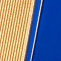 Bad Boy Cobalt Absolute Eau de Parfum Absolute, 1.7 oz