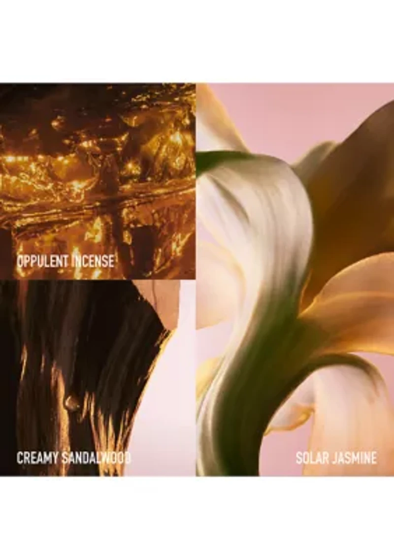 Fame Intense Fragrance 