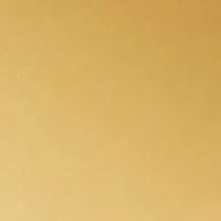 Million Gold Eau de Parfum Intense
