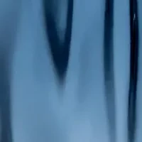 Le Beau Narcisse Eau de Parfum