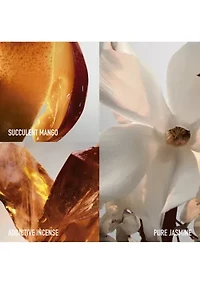 Fame Eau de Parfum Deodorant