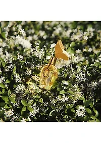 Million Gold for Her Eau de Parfum 3-Piece Limited Edition Gift Set - $237 Value!