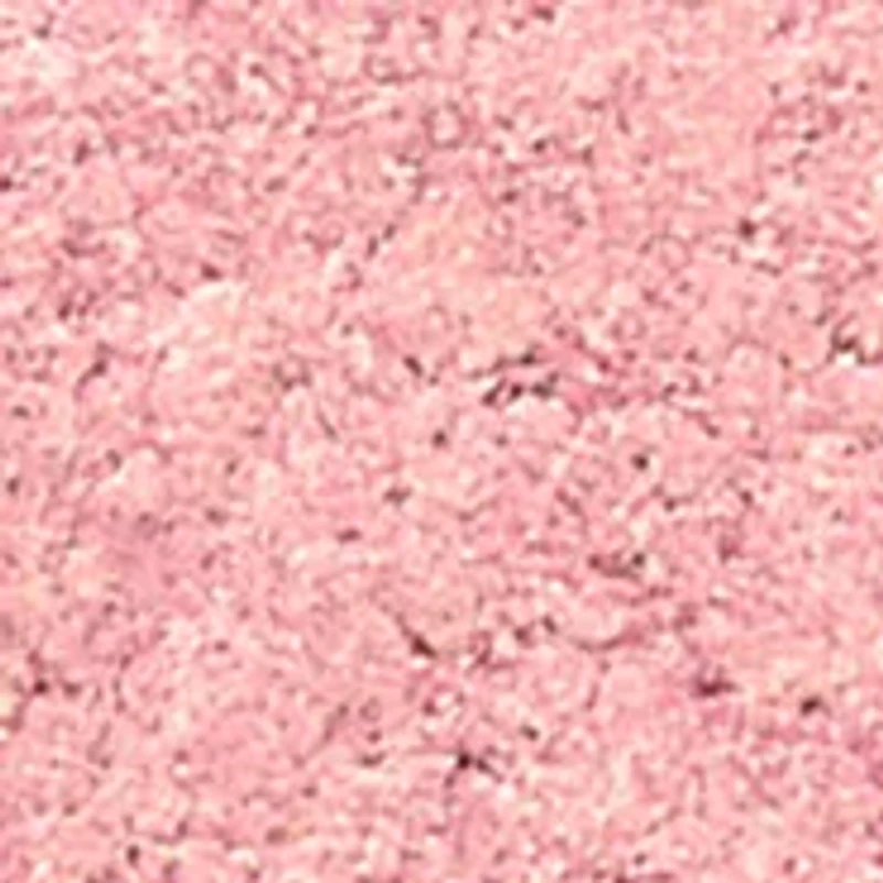 Tickle Golden Pink Powder Highlighter