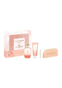 Dreams Sunset 4 Piece Set - $161 Value!