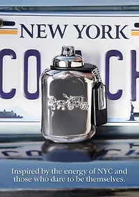 Pure Platinum Parfum 