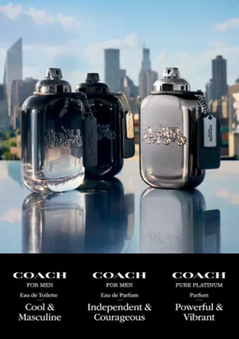 Pure Platinum Parfum