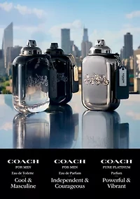 Pure Platinum Parfum 