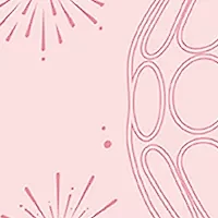 Jimmy Choo Signature 3 Piece Set