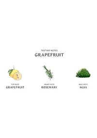  Grapefruit Classic Candle