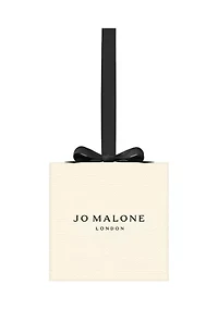 Twelve Day Ornament Collection Holiday Gift Set