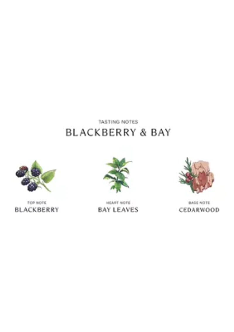 Blackberry & Bay Body Crème