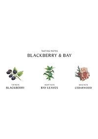 Blackberry & Bay Body Crème