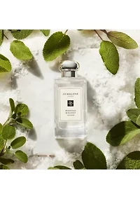Most Loved Cologne Travel Spray 3-Piece Gift Set - $96 Value!