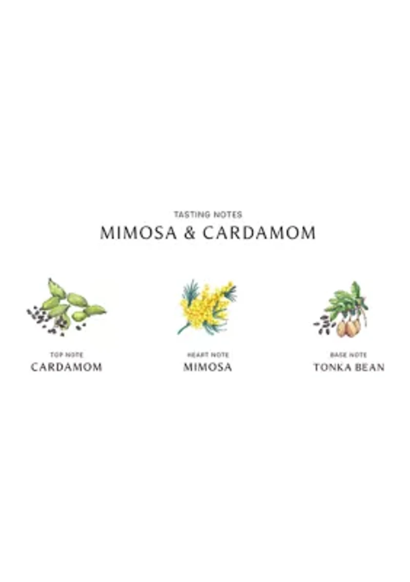 Mimosa & Cardamom Home Candle