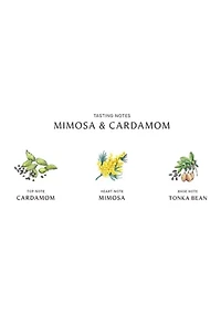 Mimosa & Cardamom Home Candle