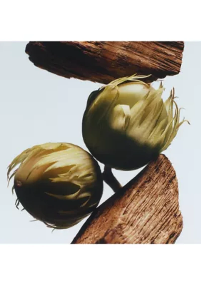 English Oak & Hazelnut Cologne 