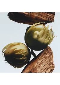 English Oak & Hazelnut Cologne 