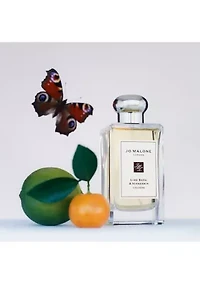 Lime Basil & Mandarin Cologne