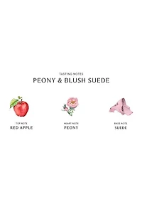 Peony & Blush Suede Luxury Candle