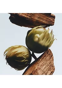 English Oak & Hazelnut Body & Hand Wash