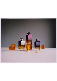 Rose & White Musk Absolu