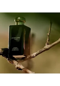 Mini Cologne Intense Trio Holiday Gift Set - $96 Value!
