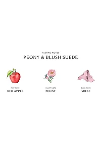Peony & Blush Suede Body & Hand Wash