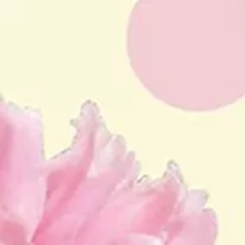 Peony & Blush Suede Cologne & Hand Cream Duo Gift Set - $65 Value!