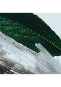 Wood Sage & Sea Salt Cologne & Hand Cream Duo Gift Set - $65 Value!