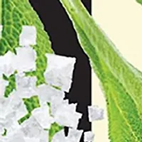 Home Candle Duo Gift Set - $164 Value!