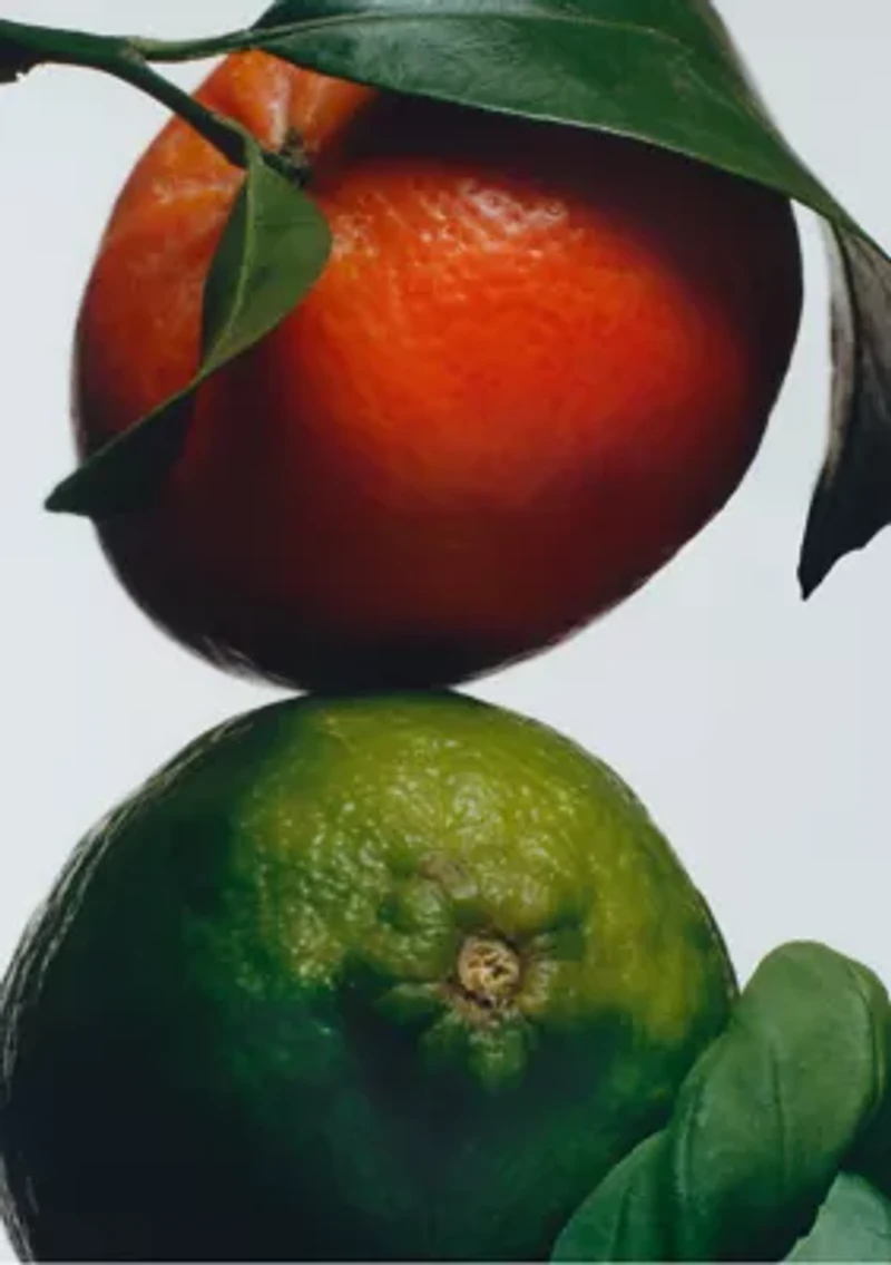 Home Candle Duo Gift Set - $164 Value!