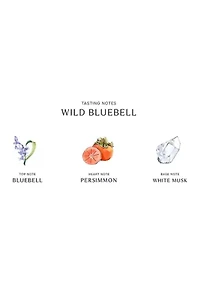 Wild Bluebell Hair Mist