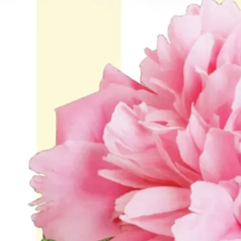 Fresh & Floral Cologne Trio Gift Set - $82 Value!