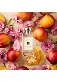 Fresh & Floral Cologne Trio Gift Set - $82 Value!