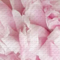   Wood Sage & Sea Salt/ Peony & Blush Suede Mini Set 